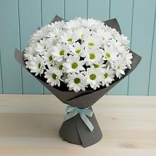 Букет цветов из:  Хризантемы #REPLACE_PRED# Новосибирске